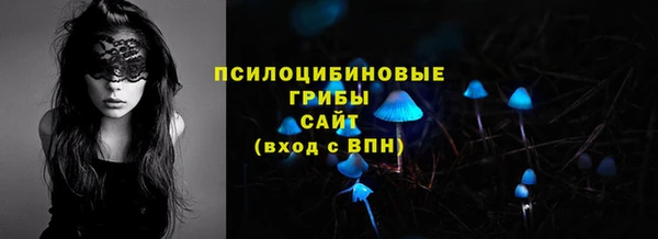 меф Алексин